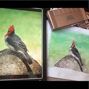 Custom Watercolor painting